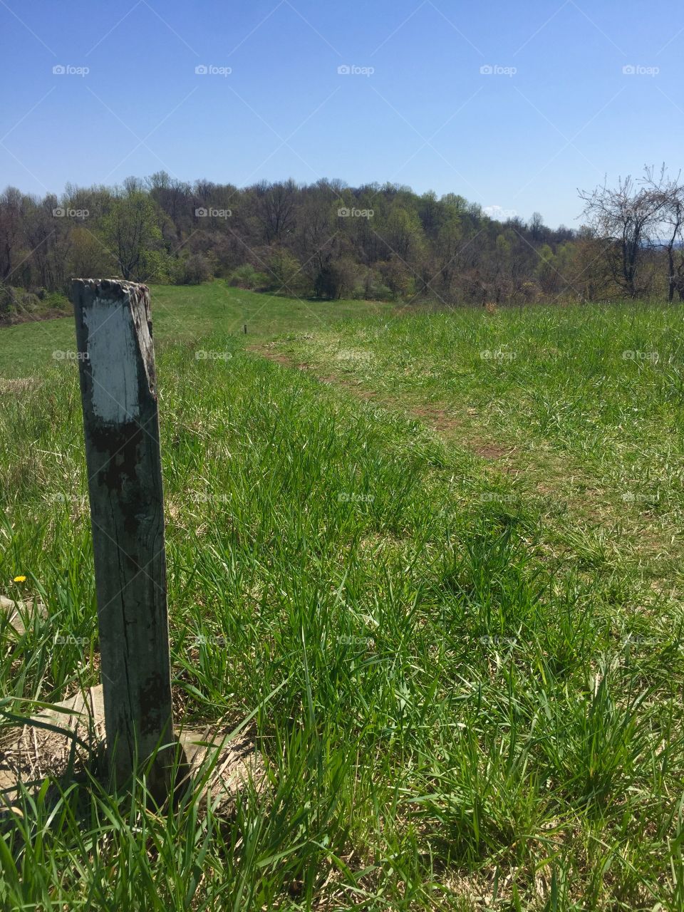 Spring hike Appalachian Trail in Virginia; trail marker