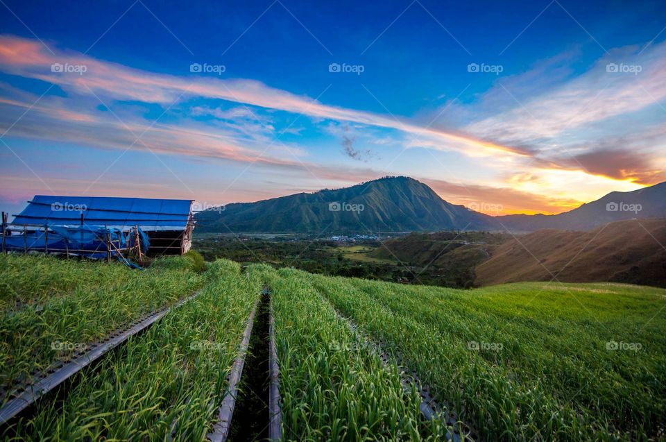 landscape in Sembalun Village