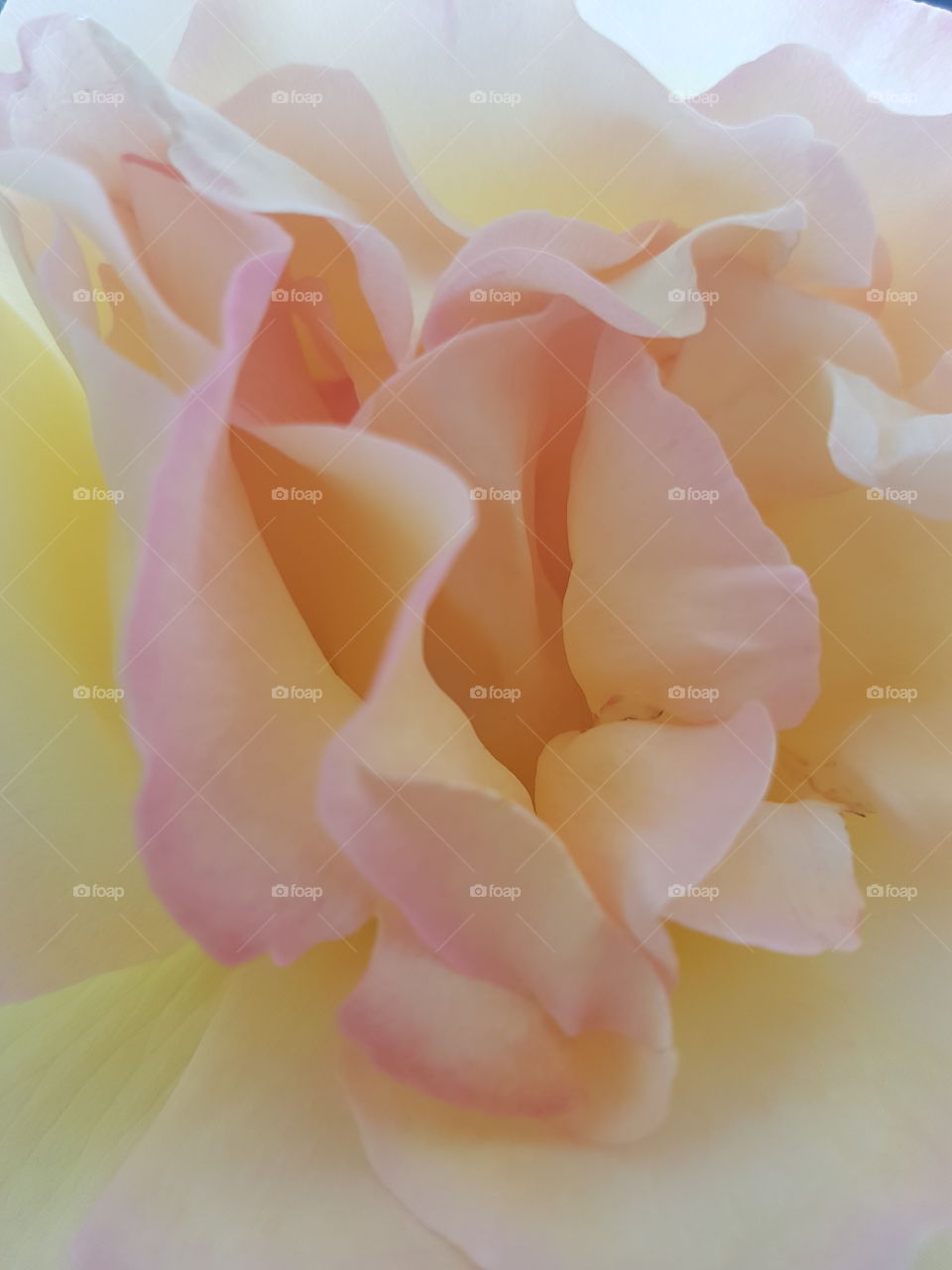 Natural colored texture