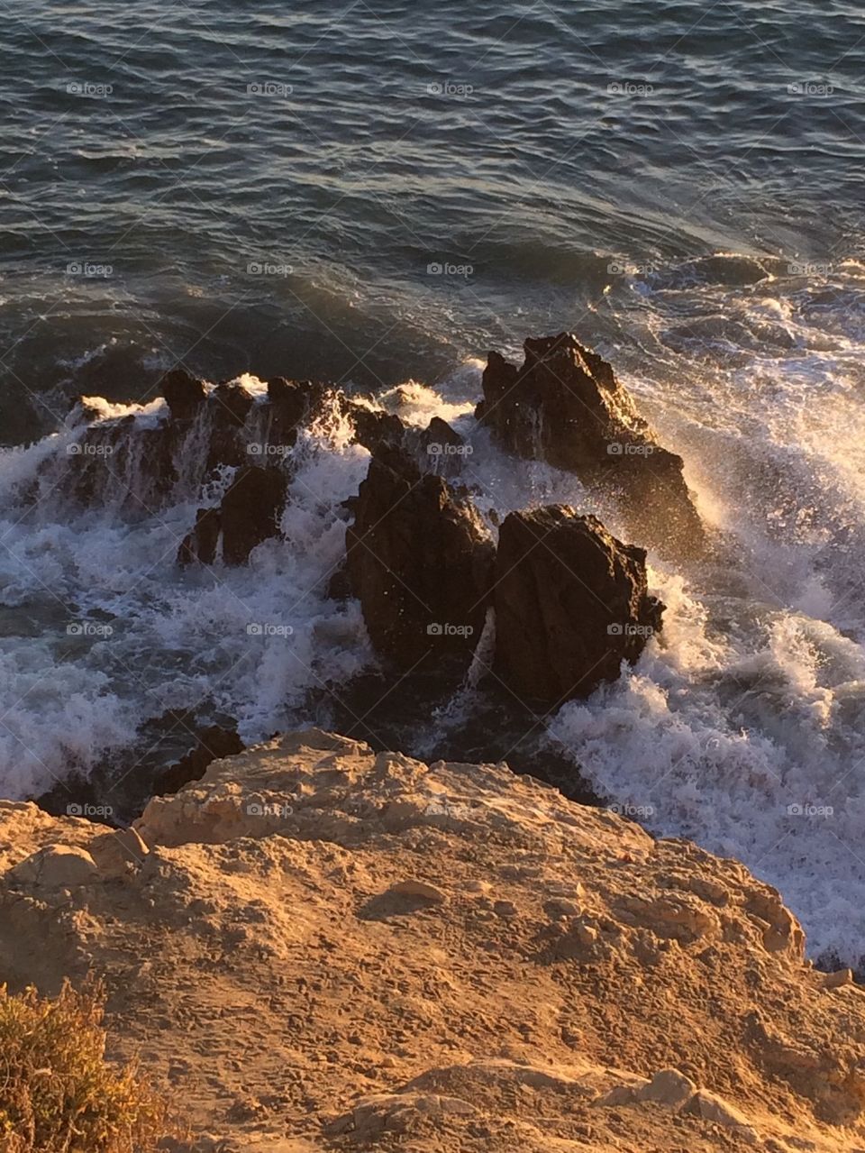 Tide Pool Area~Corona Del Mar