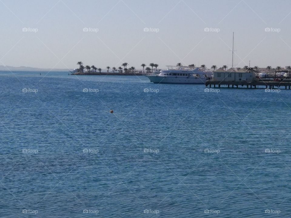 Egypt. Hurghada. Red sea.