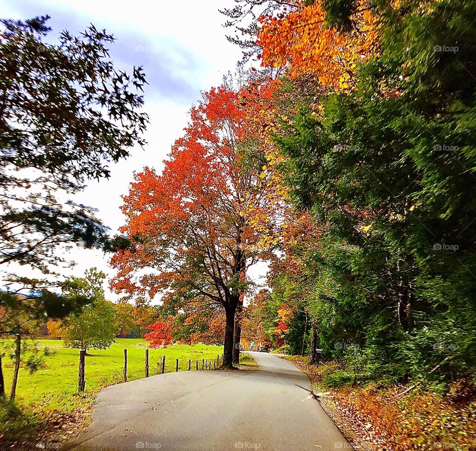 Moods of autumn mission