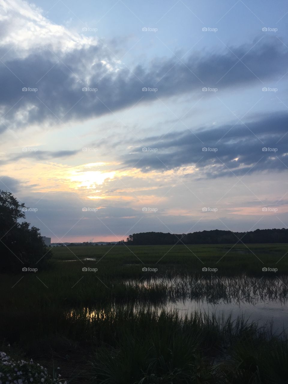 Marsh sunrise