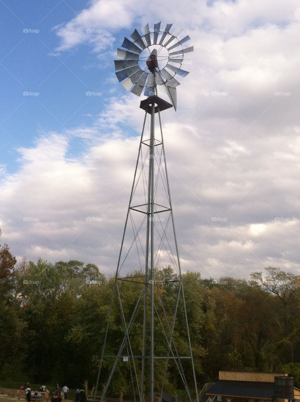 Windmill on The farm 