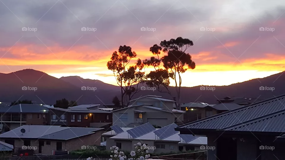 sunset