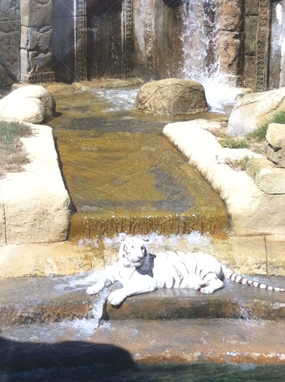 white tiger waterfall by johnsscryan