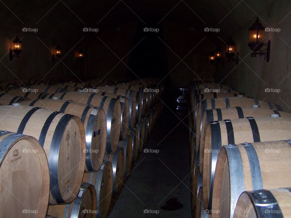 Wine Cellar