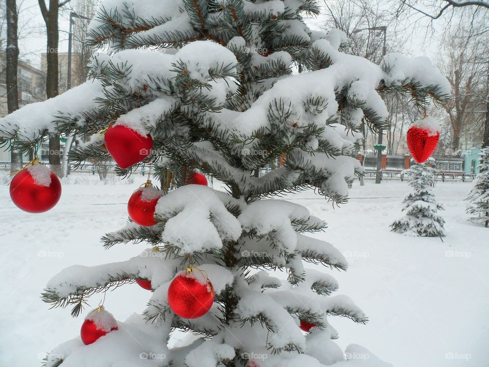 New Year's toys on a pine tree