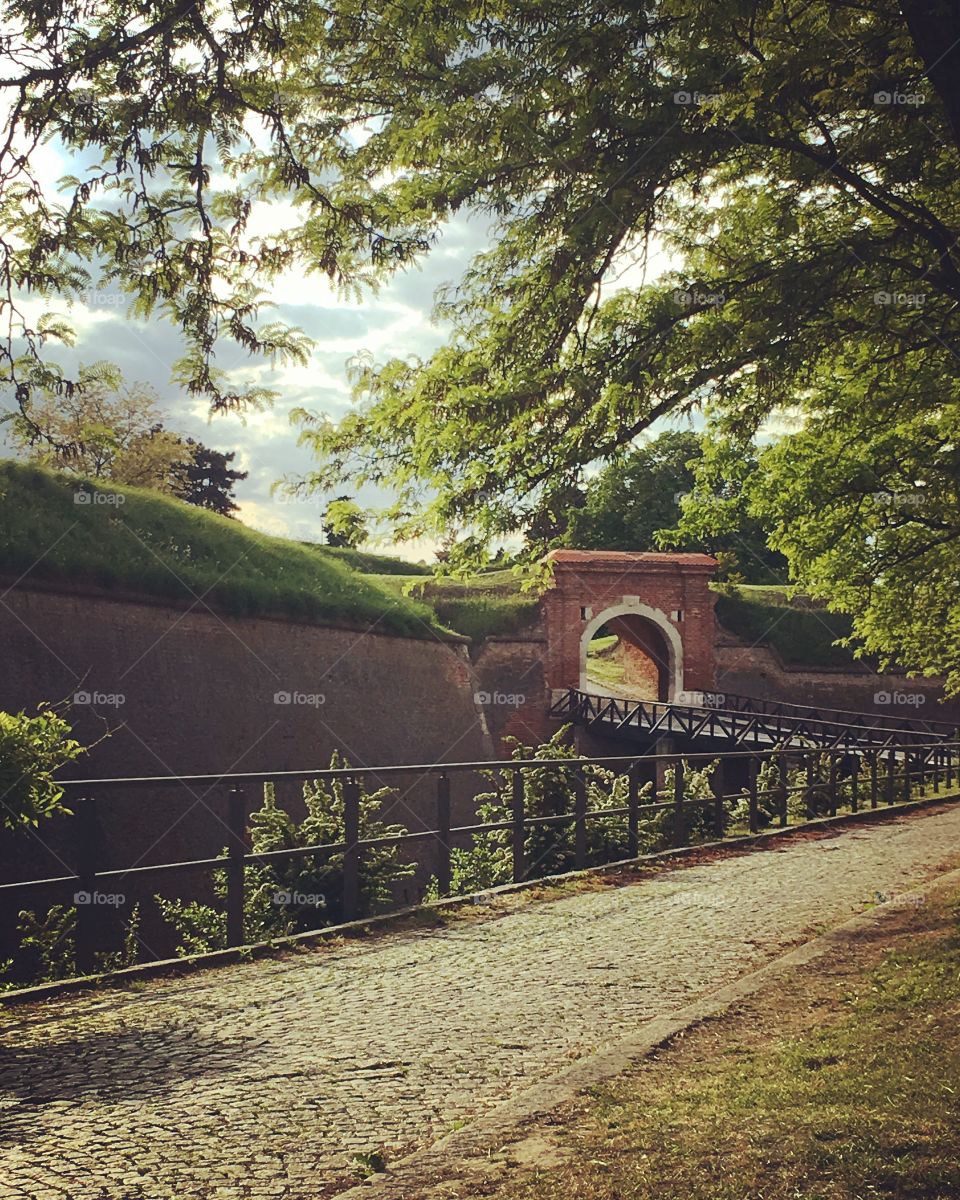 Nature surrounding in early spring at Petrovaradin fortress