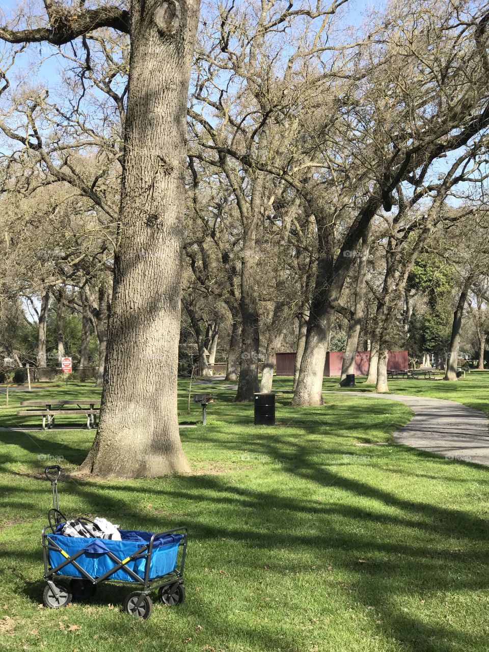 A day in the park with family. I turn and see such a serene park. 