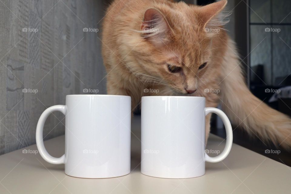 Two white ceramic cups for applying images and photos