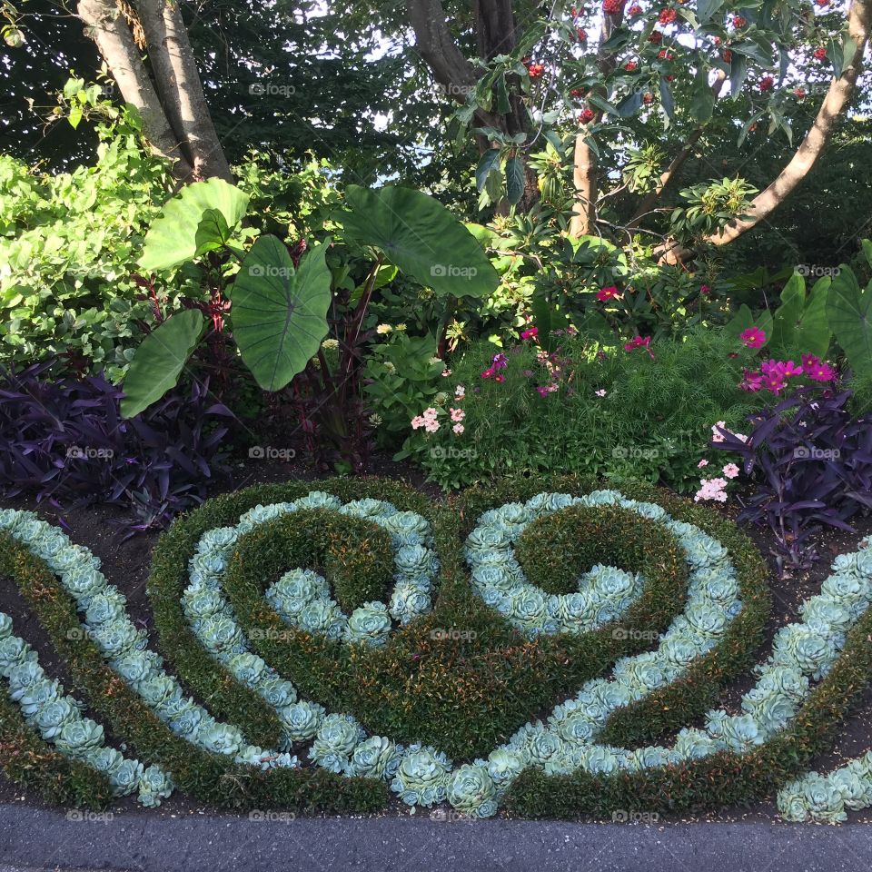Loving landscaping in the miniature quarry gardens at Queen Elizabeth Park in Vancouver, British Columbia 