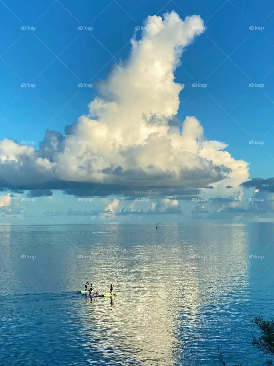 Horizon 