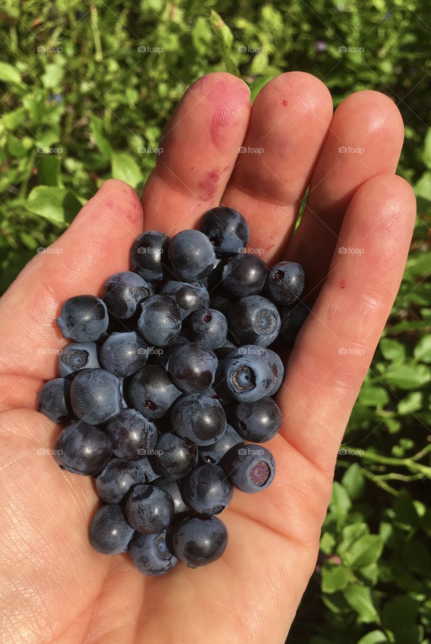 Blue berries