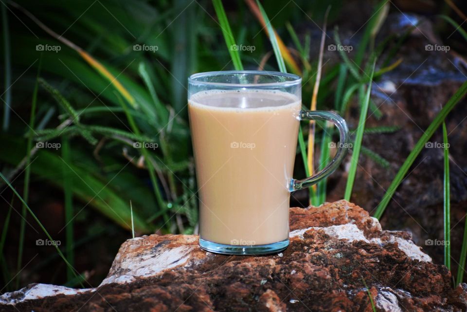 Early morning tea in the garden