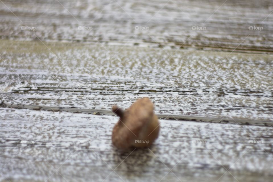 Acorn on a wooden background 