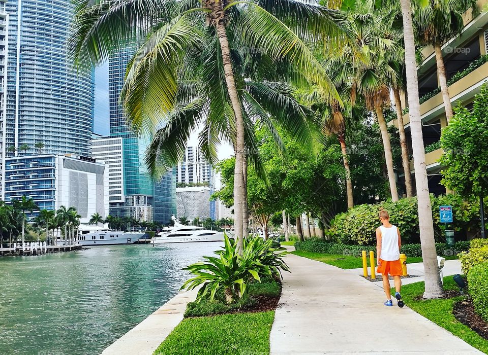 Residential area in Brickell Key Island, Miami