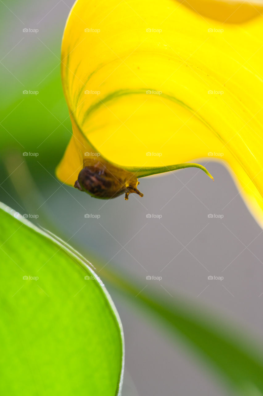 Who’s perspective is more important, that of the photographer or that of the subject? 