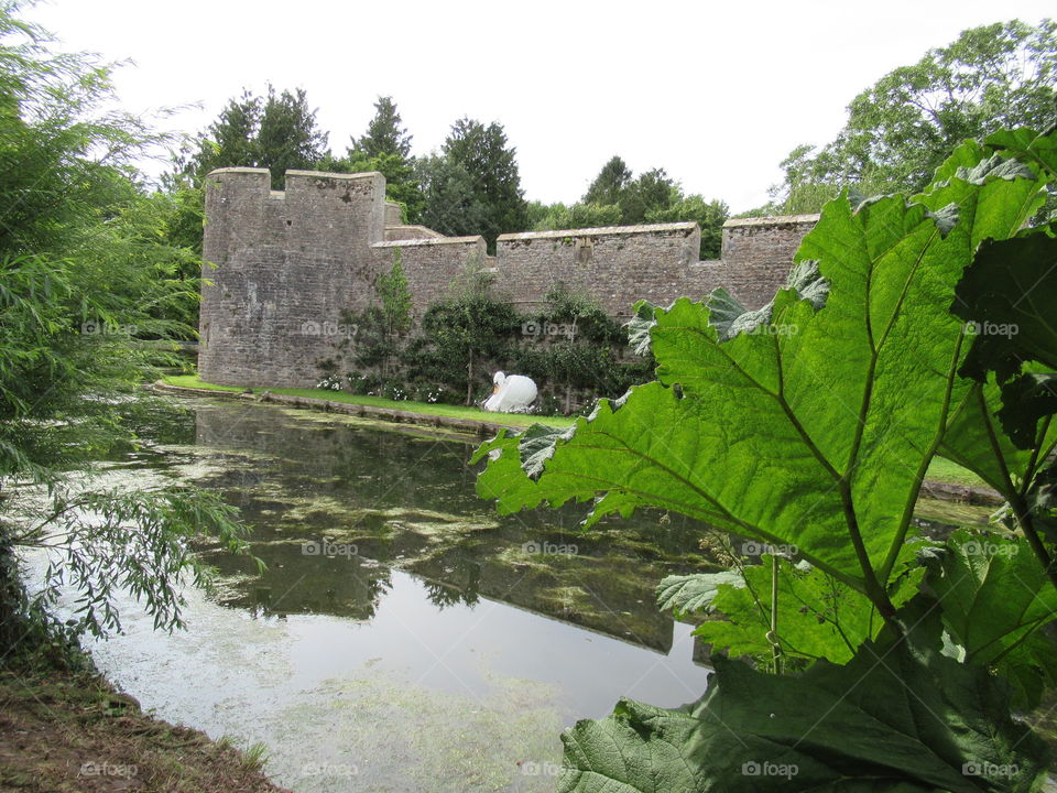 Wells moat