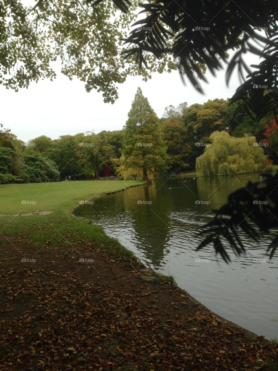 Tranquillity by the lake