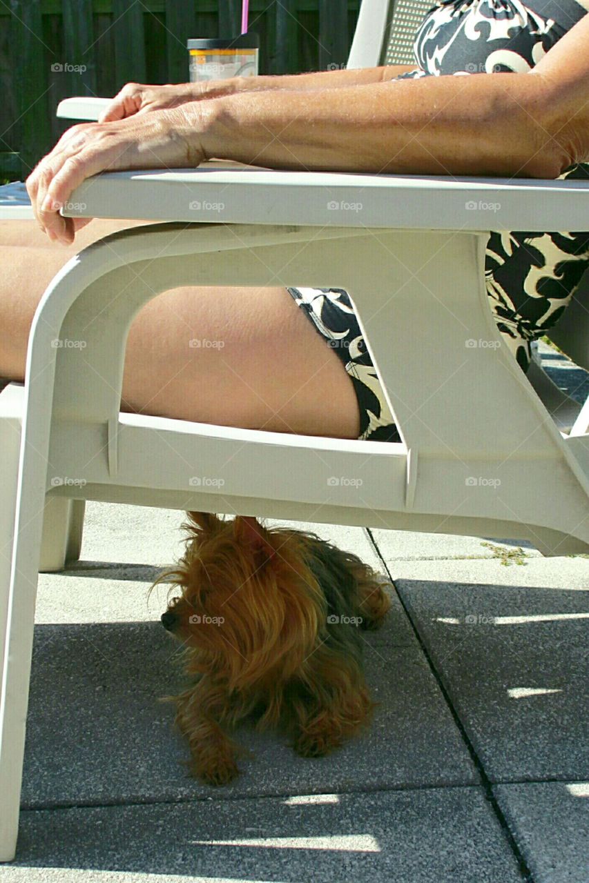 sunbathing and lounging during the dog days of summer