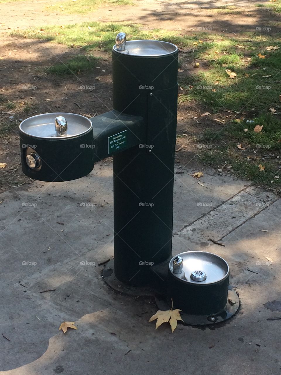 Doggy fountain 