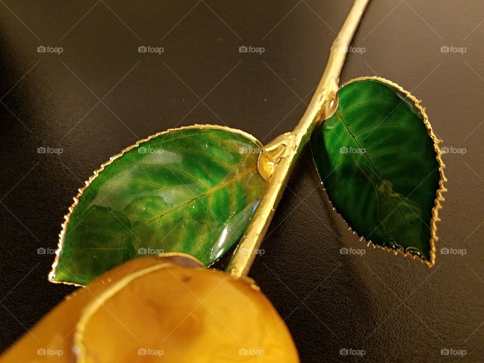 Green leaves tipped in gold!