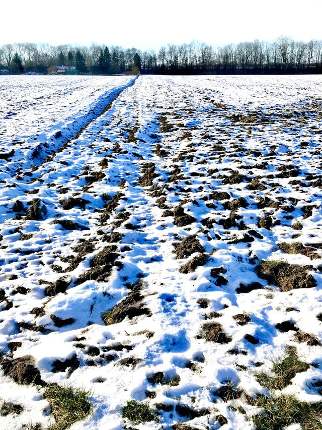 Winter,Snow,Cold
