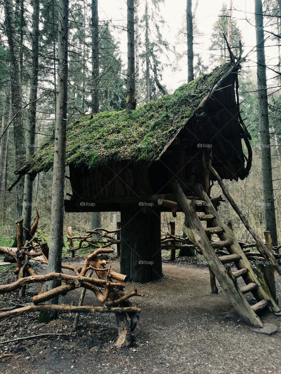 tree house in the forest