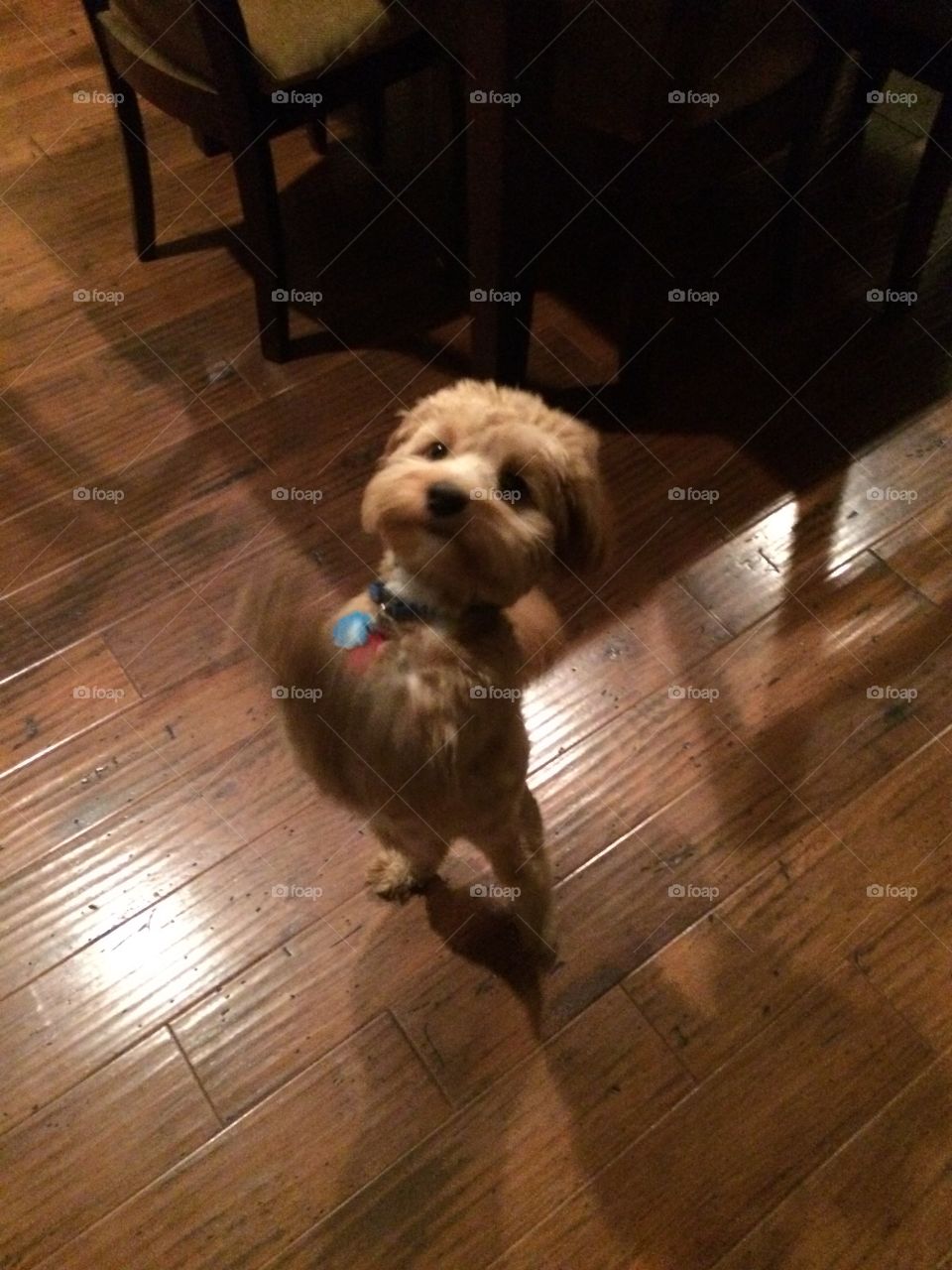 Can't stop dancing with my aunt 