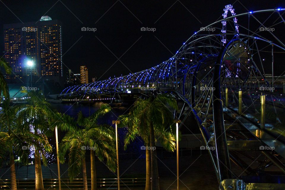 Illuminated bridge with palm trees, ferris wheel and tall building at night in Singapore.