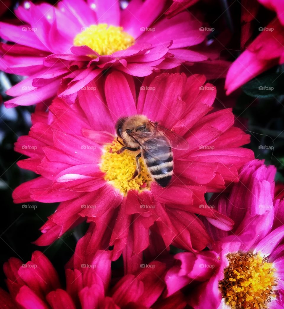 Work.. The work never ends.