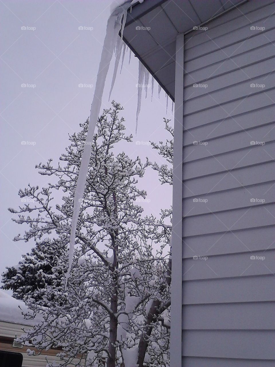 The icicle 
