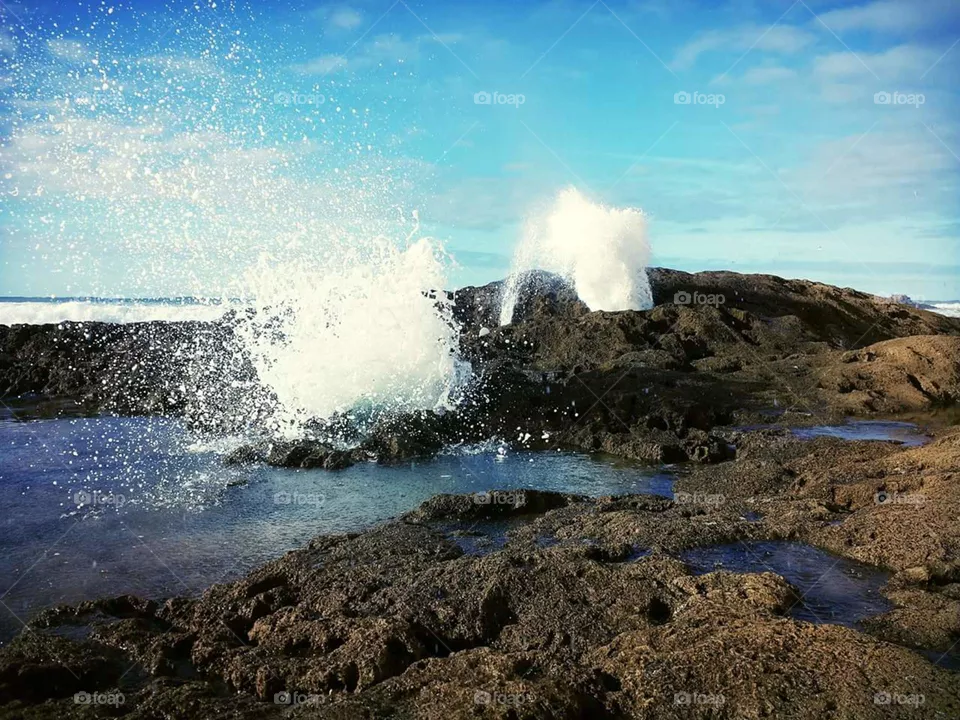 Wave