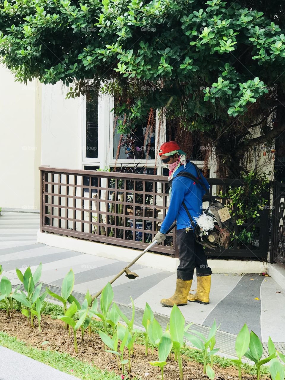 Garden cleaning by worker