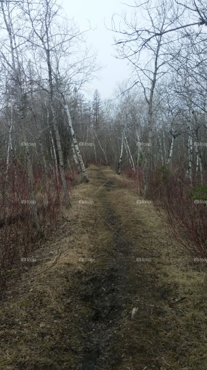 spring trail