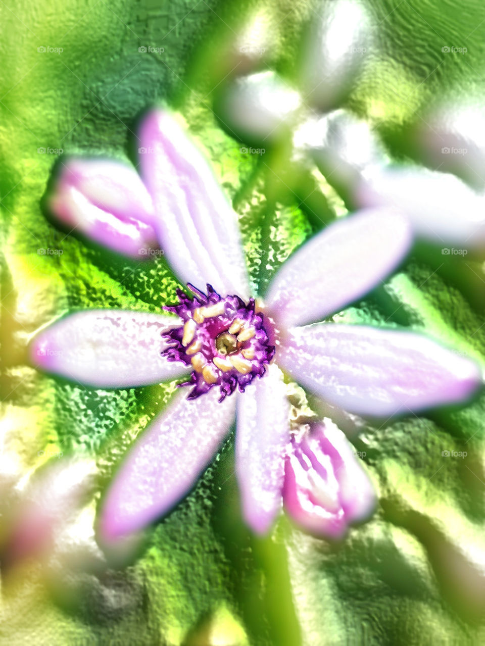 flower effect by blaqrayne