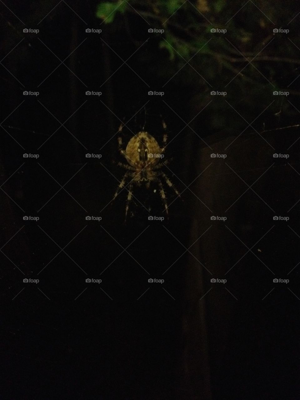 Outside my work window