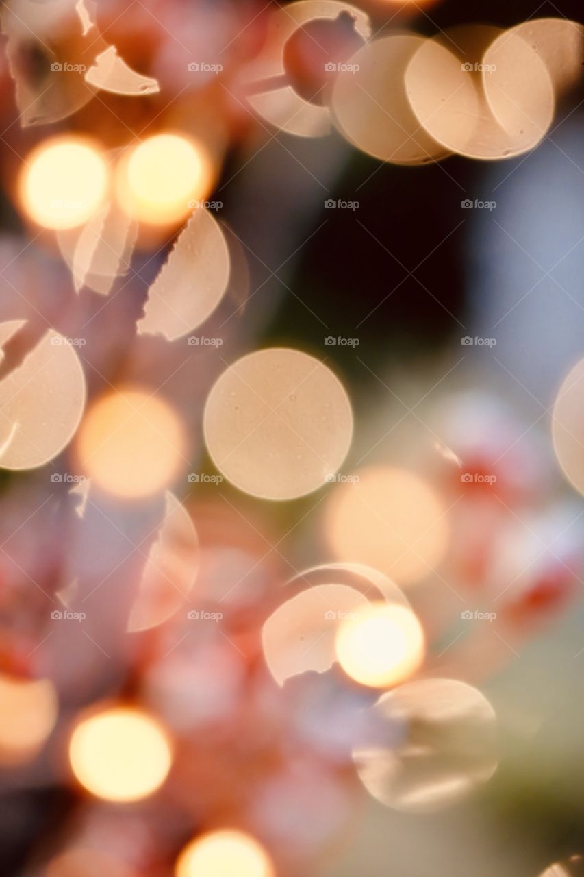 Abstract Blurred Christmas Lights 