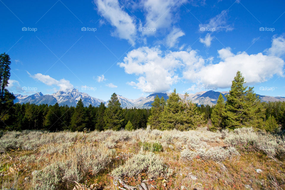 Grand Tetons