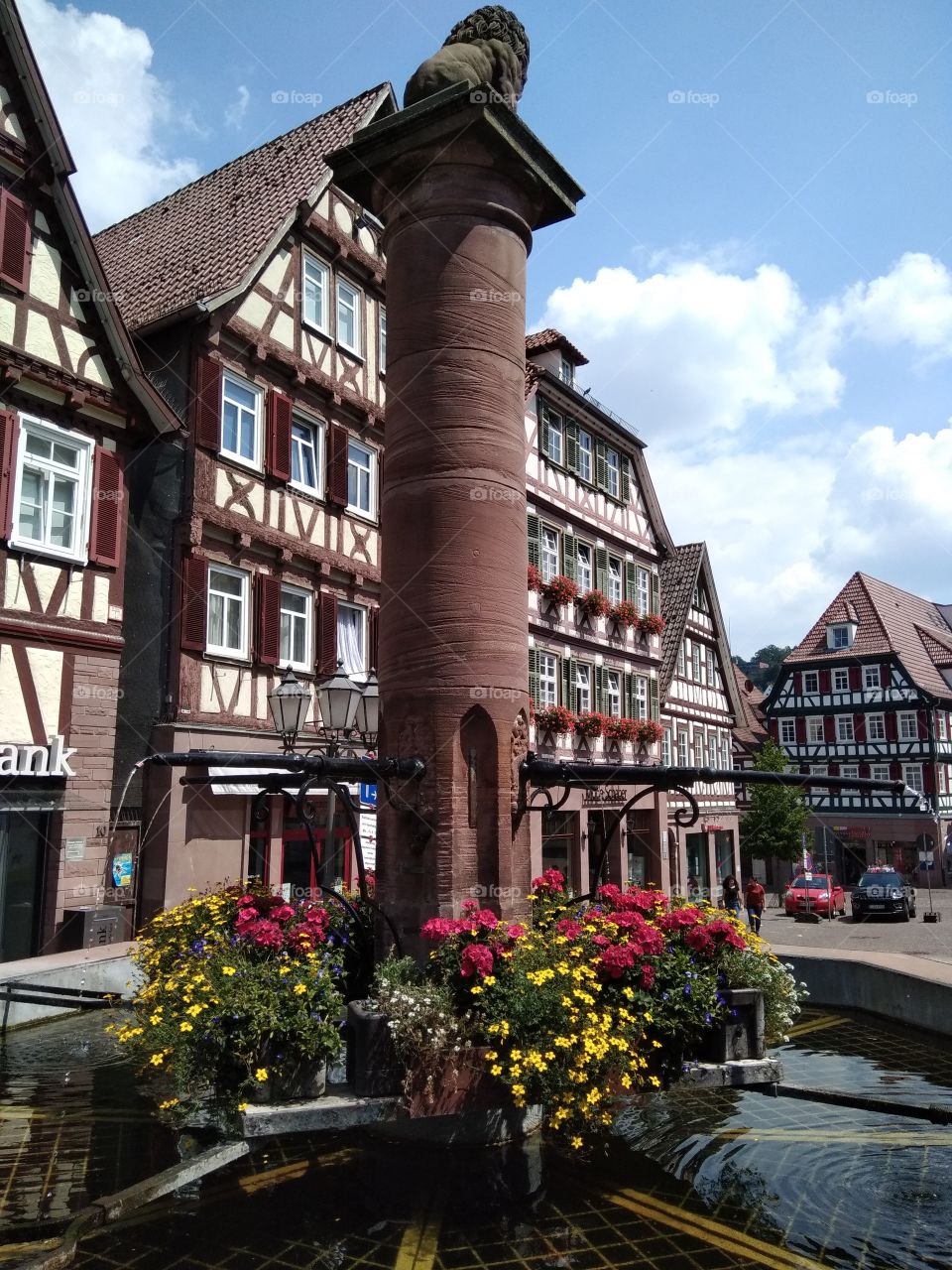 Calw