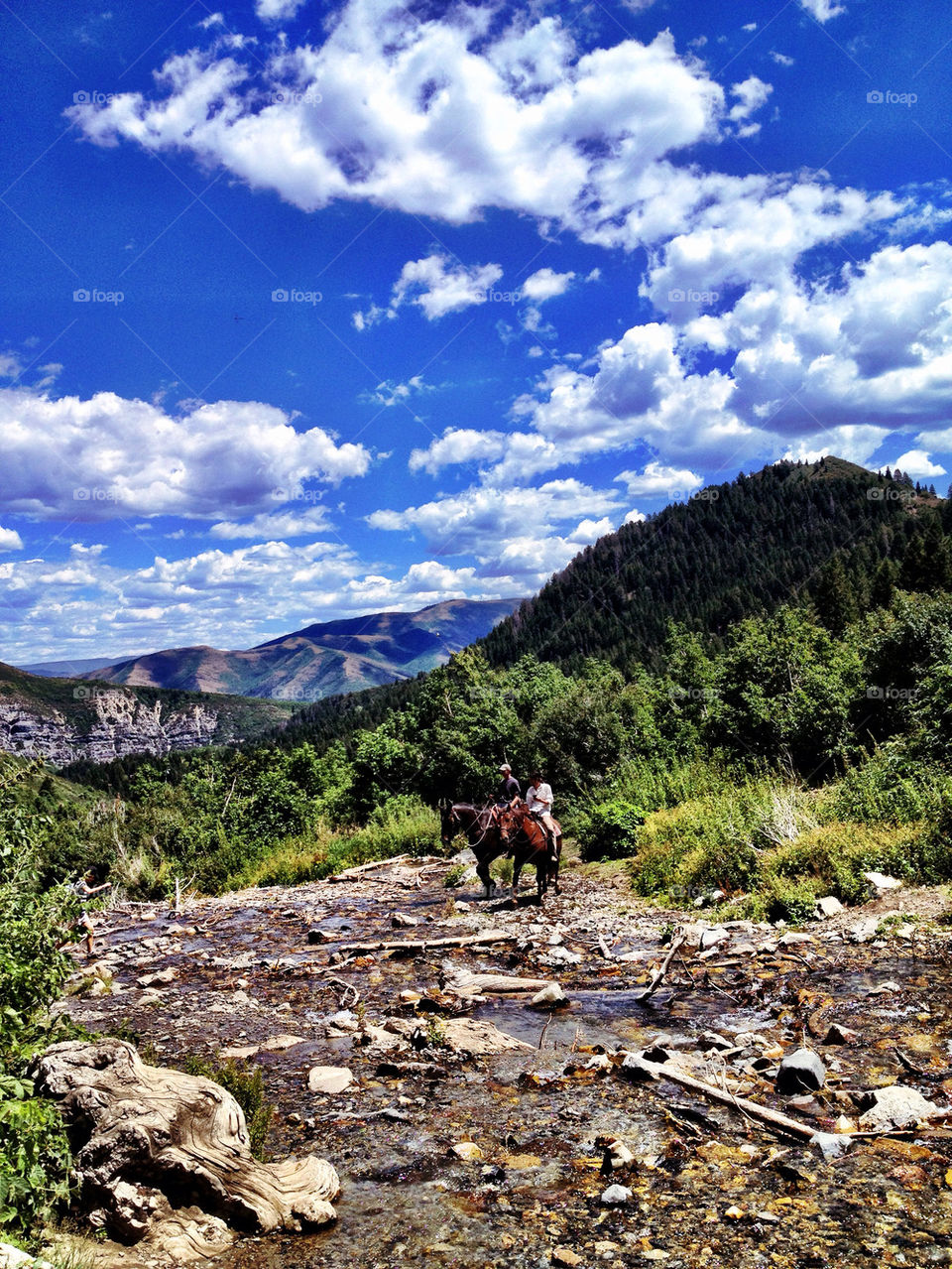 horses mountains hiking by dustinrogers