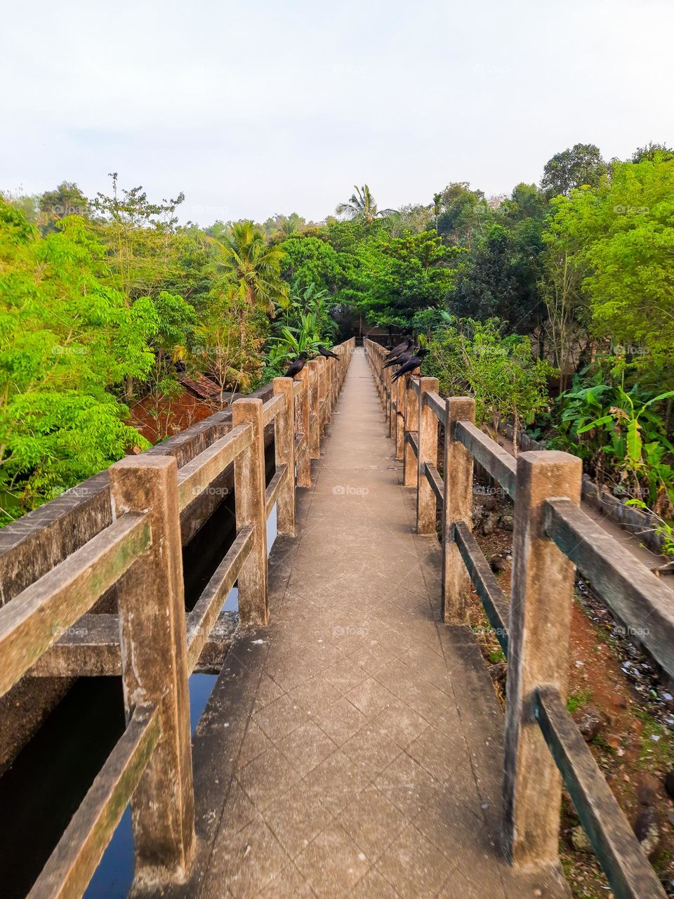 Historical  Bridge