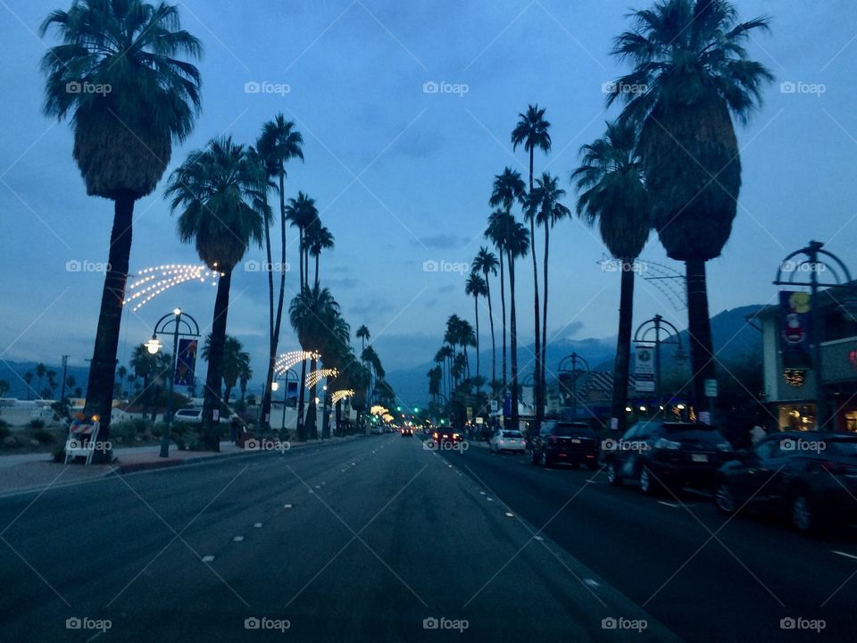 Never ending palm trees. Road in the Palm Springs California. The lights along the City. 