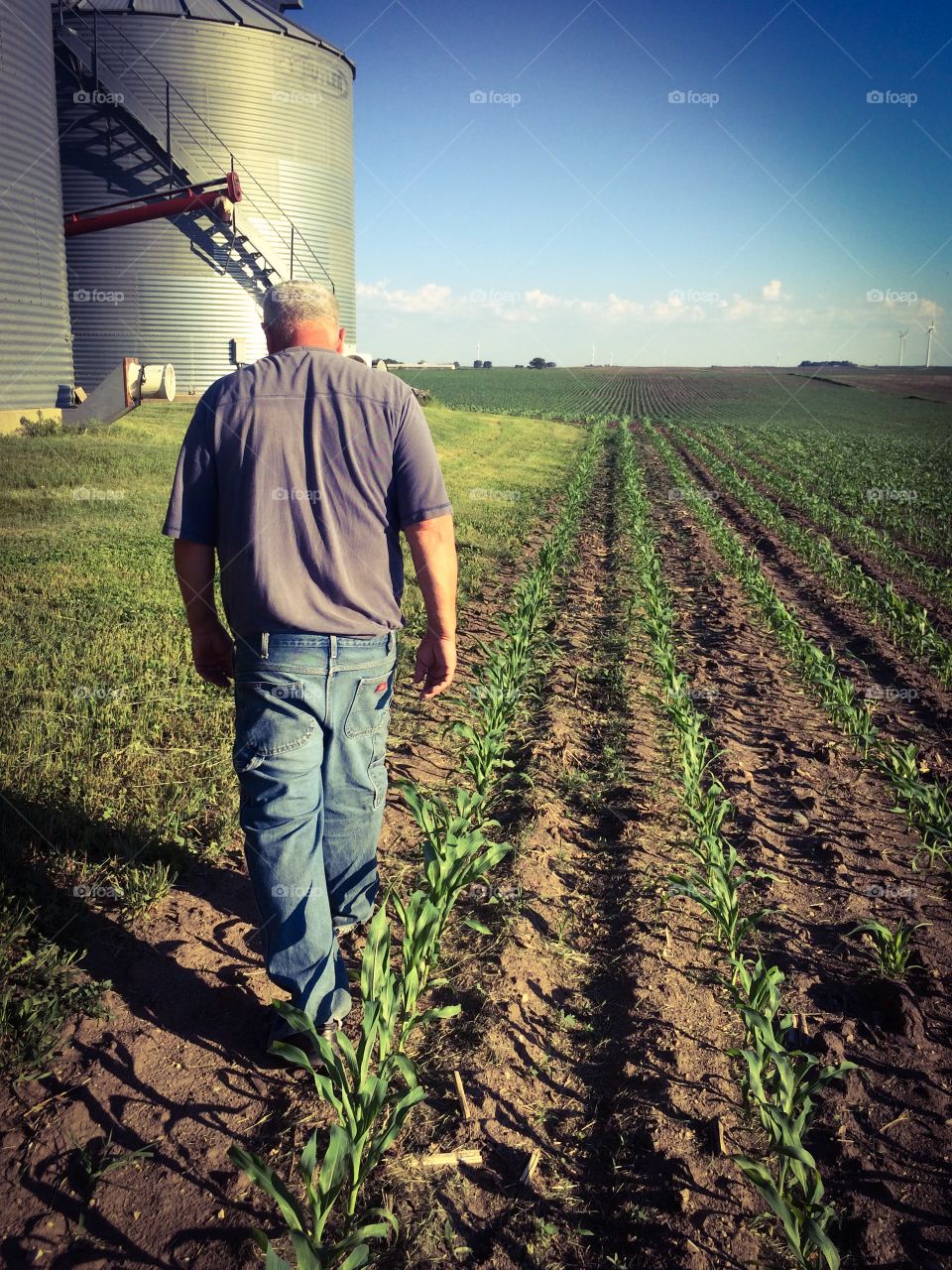Proud Daughter. This is my dad, walking on his farm. This farm has been in our family for over100 years. Hard, but rewarding. 