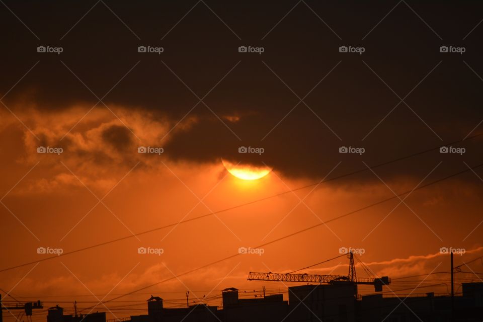 Scenic view of nature