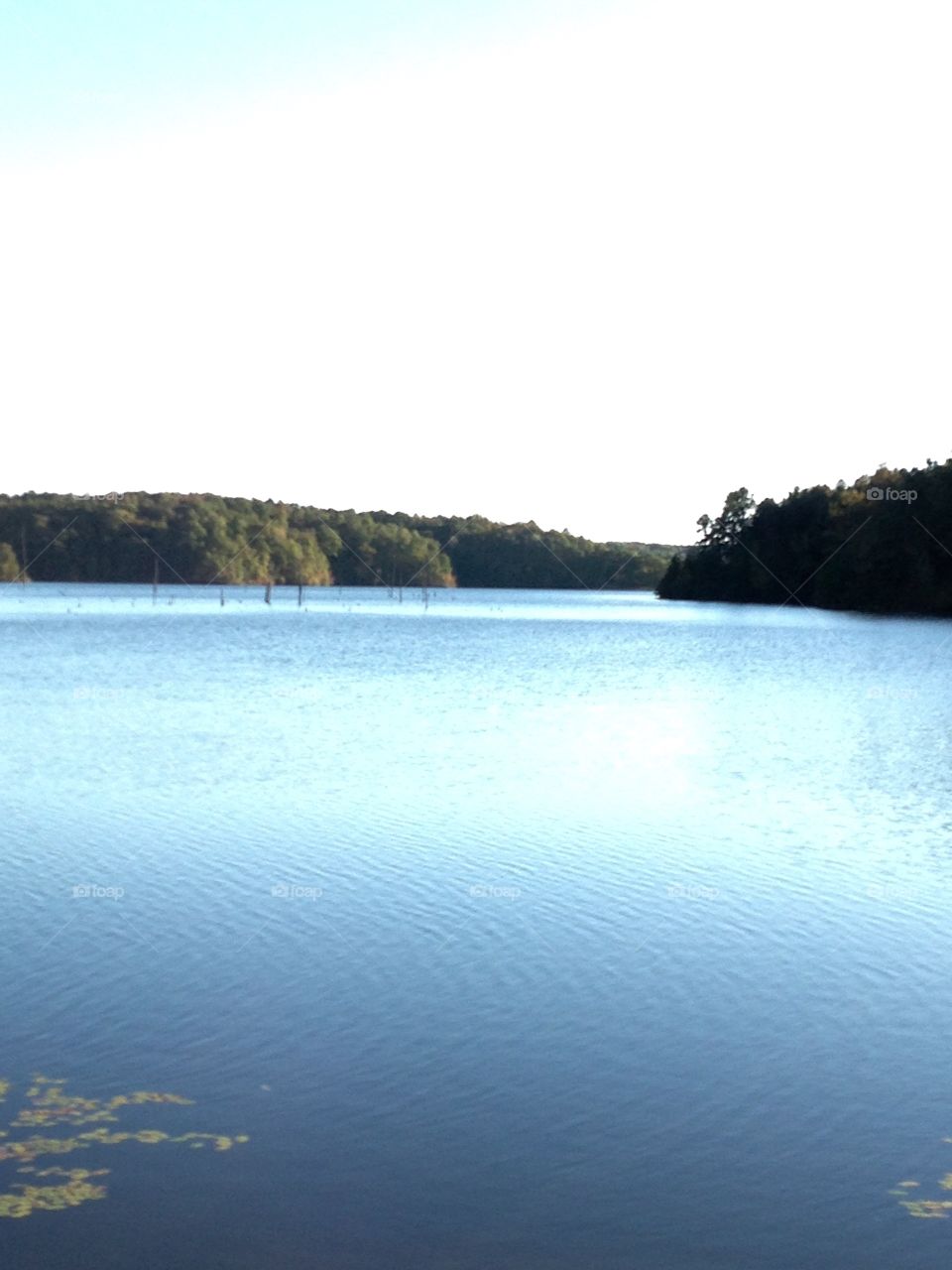 McNatt Lake. McNatt Lake at Big Hill Pond State Park, TN