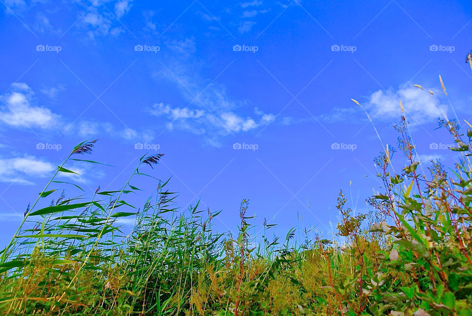 One gorgeous summer day.