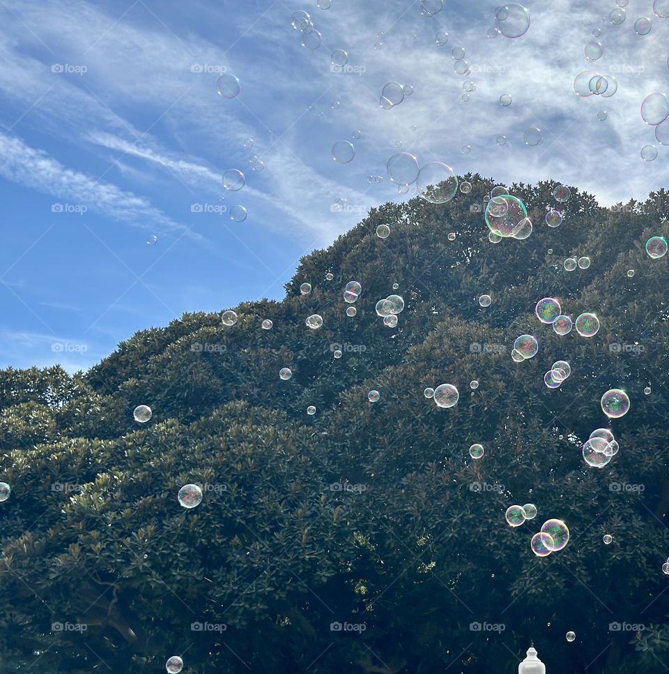 Naturr#bubbles#sky