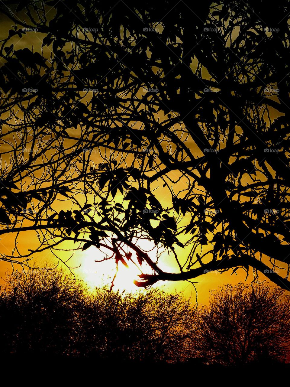 Sunset over south Texas